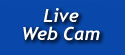 Live Web Cam